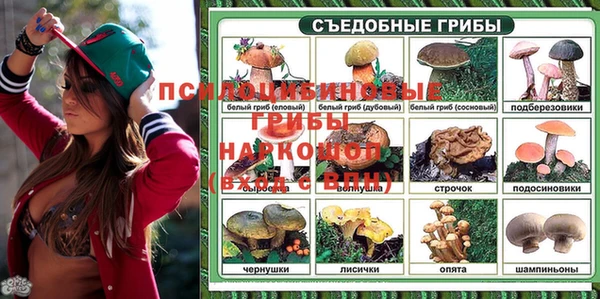 spice Протвино